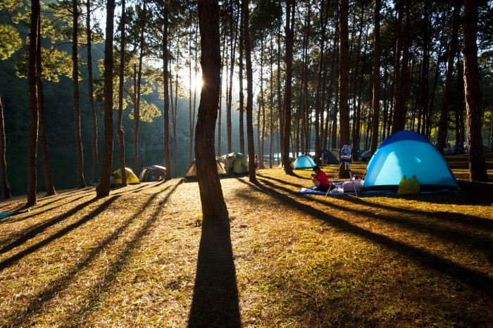 Location de caming pour un cadre magnifique dans la région de la Bretagne